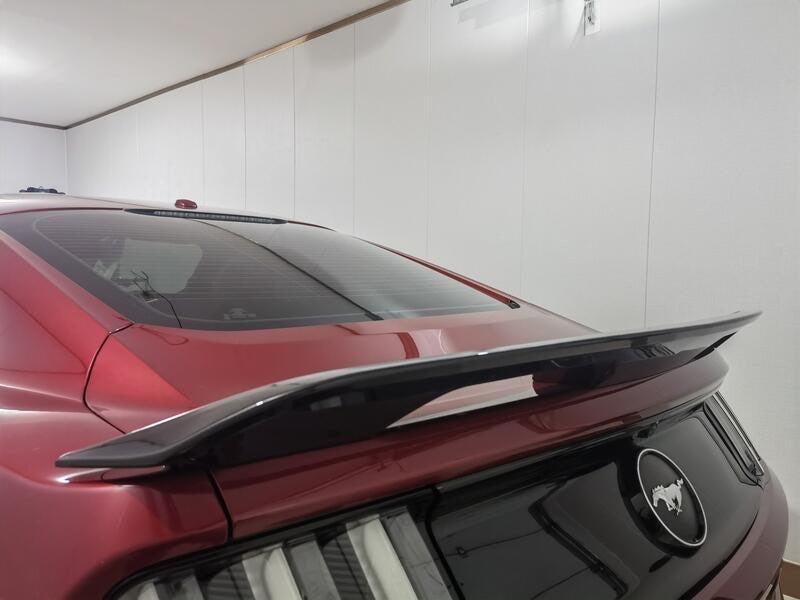 Aileiron/Spoiler Ford Mustang