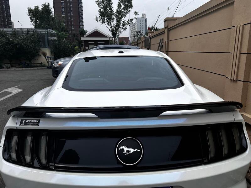 Aileiron/Spoiler Ford Mustang